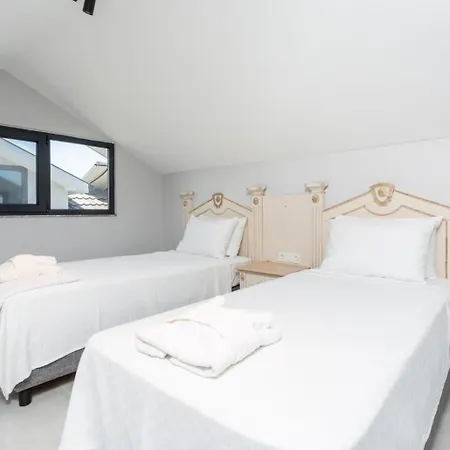 Exclusive Paradise 3